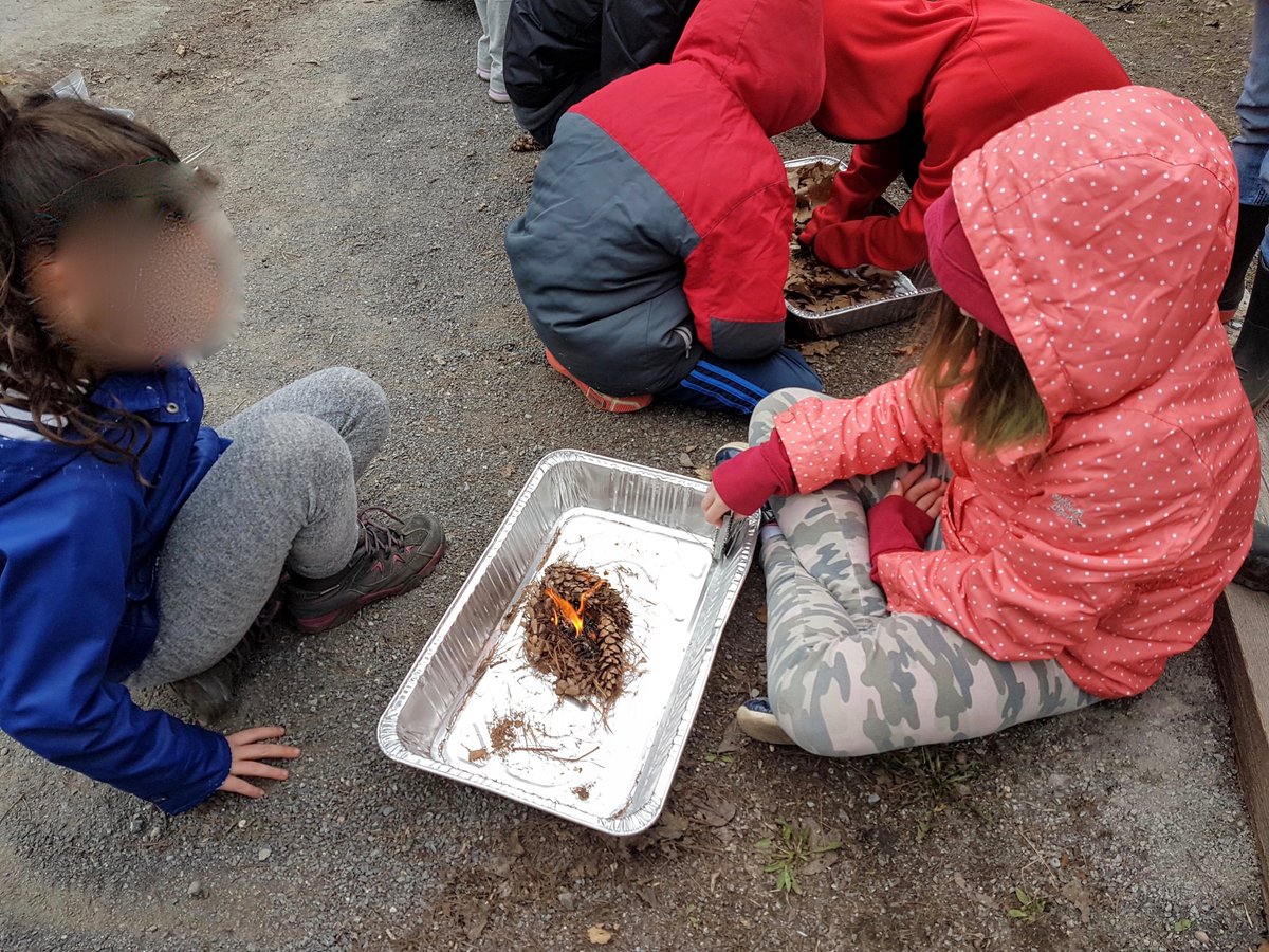 LeesOutside's tweet photo. A gray day can't stop #learninginlimestone! Shelter and habitat building, fire starting, and sit spots with @LoughPS_LDSB. Thanks @FrontenacPP for another meaningful #beyondtheclassroomwalls experience! #outdoorlearning #loosepartsplay #outdoorclassrooms @LimestoneDSB https://t.co/JLZvdgVVDf