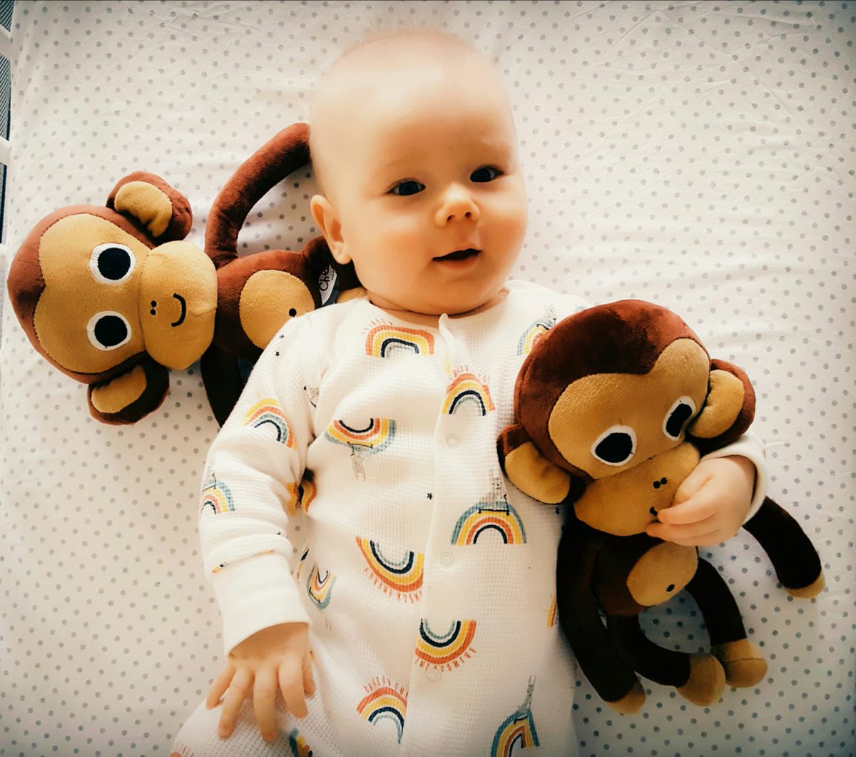 Thank you very much Jacob Seville for sending us this image of your little Bruno with Cheempo.

We wish they become good friends 😀 

#kids #children #softtoys #primates #endangeredspecies #chimpanzees