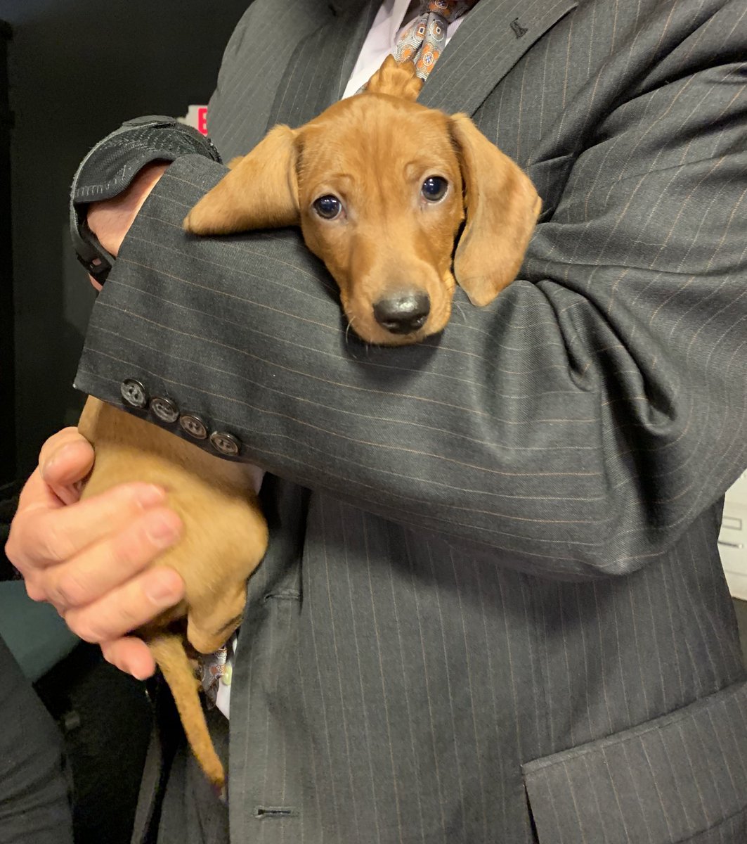 wdtnbrooke's tweet photo. COMING UP: Oskar makes his #Fiveon2 debut! https://t.co/efMHNZBOdE
