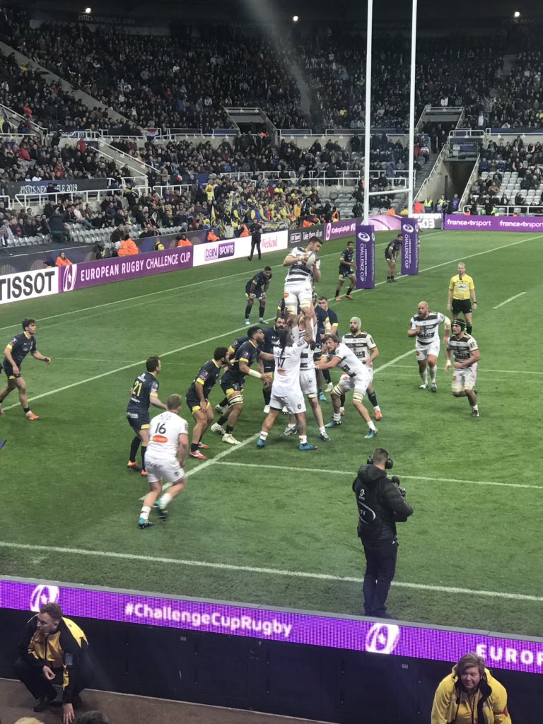 Saira Luffman tweet media