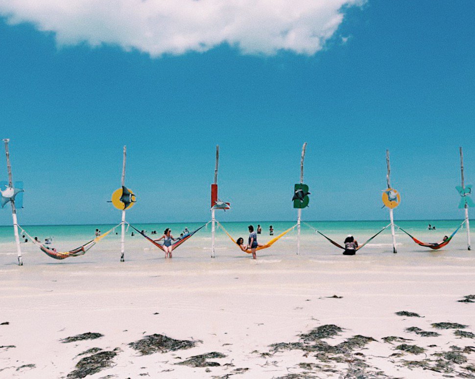 privatemextours's tweet photo. Have you been to Holbox yet? It is paradise for sure!

#Holbox #visitmexico https://t.co/1sx4xJ7siL