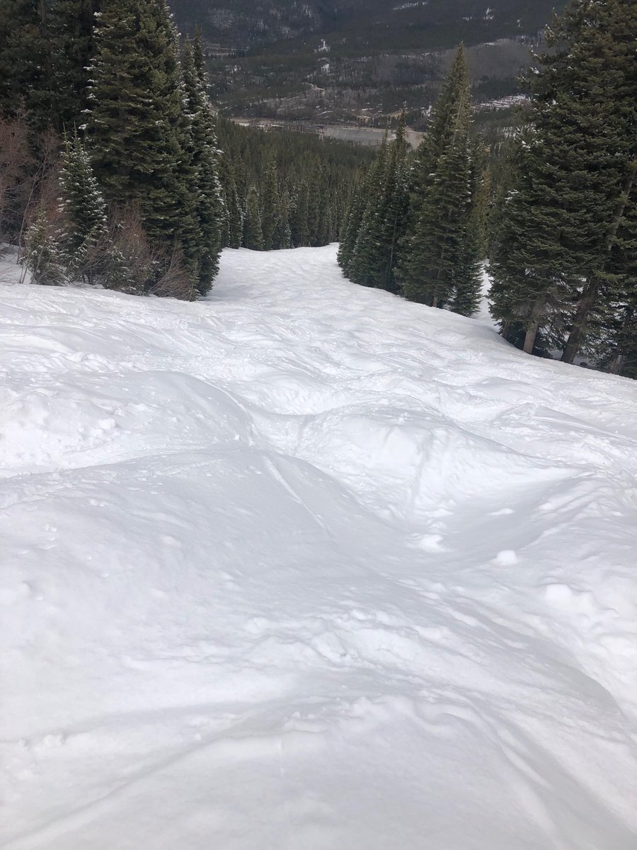 Steve Hurlbert tweet media