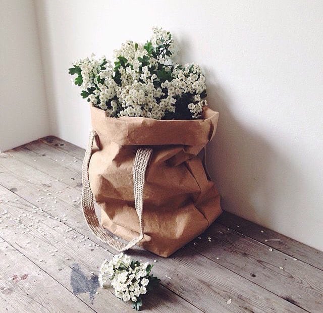 Tengo un solo objetivo en esta vida,

y es conquistar tus sentimientos,

cada uno de ellos con palabras románticas,

con demostraciones de amor para que entiendas que no existe,

ninguna otra persona que pueda superar estos pensamientos,

que tengo para contigo.