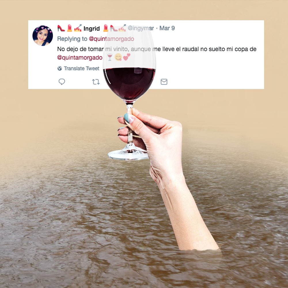 quintamorgado's tweet photo. Miembros del #TeamQuinta: Si hoy van a estar como Ingrid, por favor cuidense ☔️🍷⚠️ https://t.co/Xs8etNHXYC