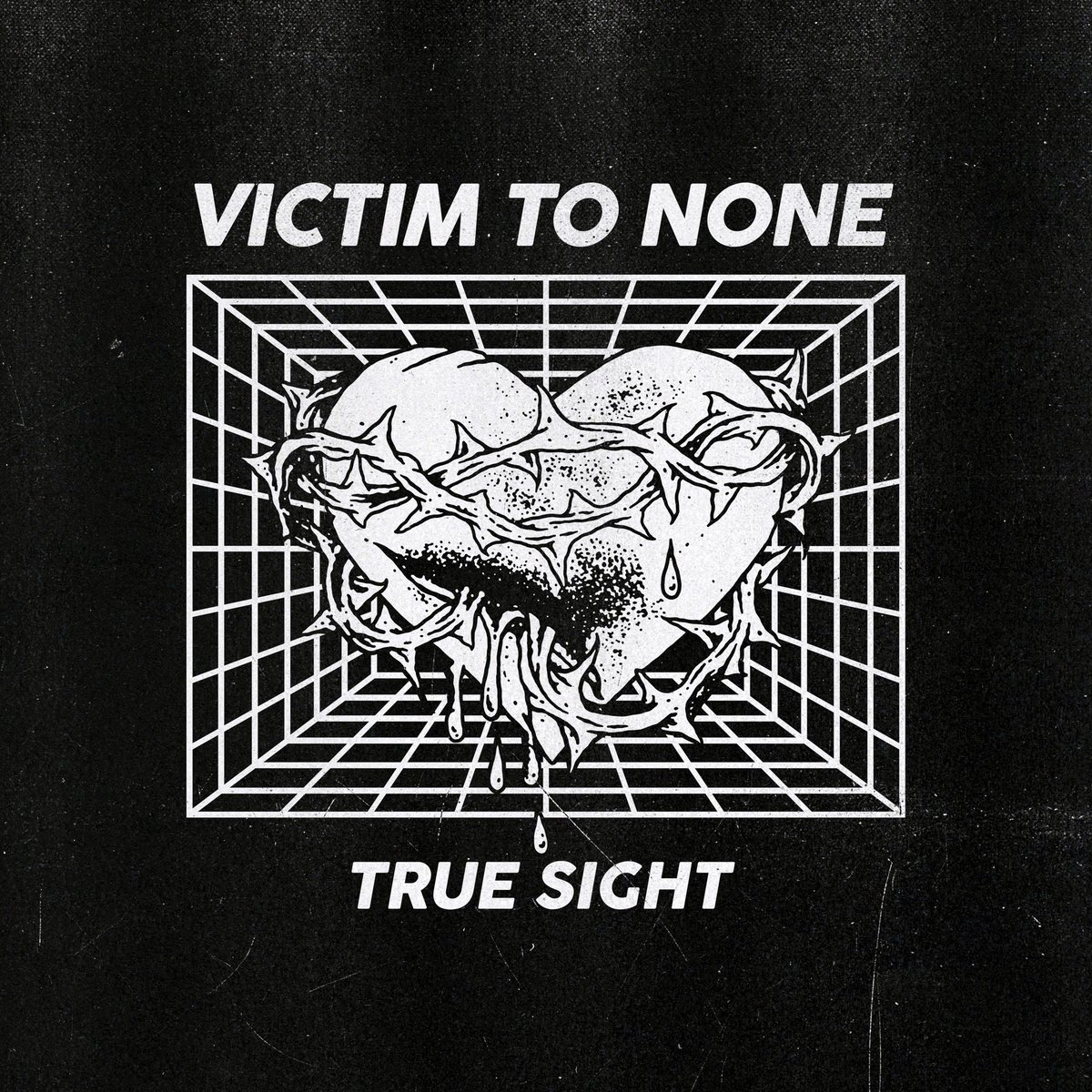 TRUE SIGHT OUT NOW!!! Apple Music, Spotify &amp; Bandcamp