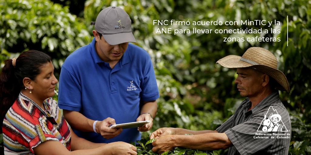 FedeCafeteros's tweet photo. En el marco del convenio, @Microsoft ha destinado cerca de 1 millón de dólares para brindar conectividad a caficultores en algunas zonas del país. #ActualidadCafetera #ColombiaSeTransforma Conozca más detalles aquí: https://t.co/NYQ0p5Ow2a https://t.co/QAnSS4QBad