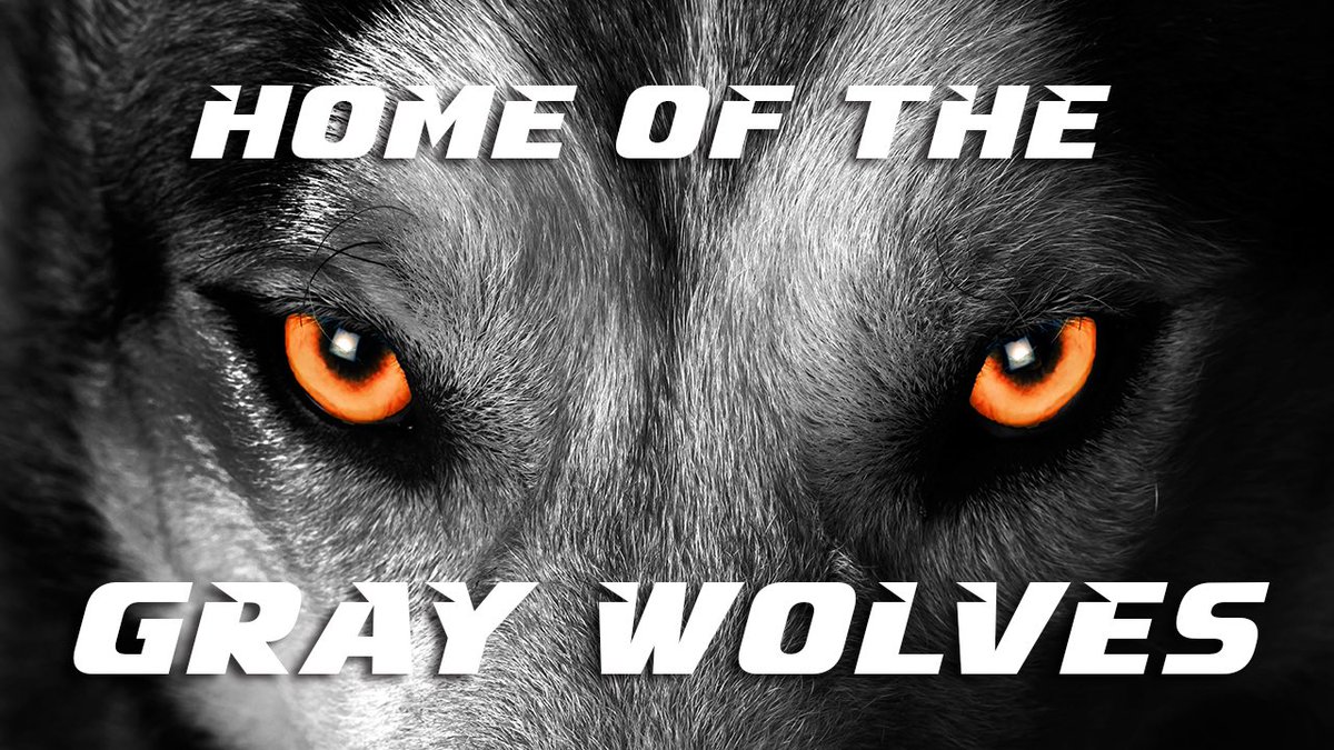 JimmyFerns's tweet photo. I am extremely excited to announce I will be continuing my academic and athletic career at Lourdes University! I thank God for blessing me with this opportunity! I’d also like to thank my coaches, friends, and especially my family for everything they’ve done for me! #GoGrayWolves https://t.co/U4szvw64q1
