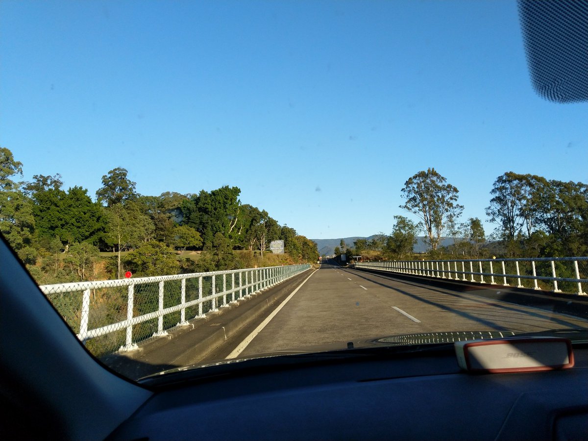 Phoenix Collective tweet media