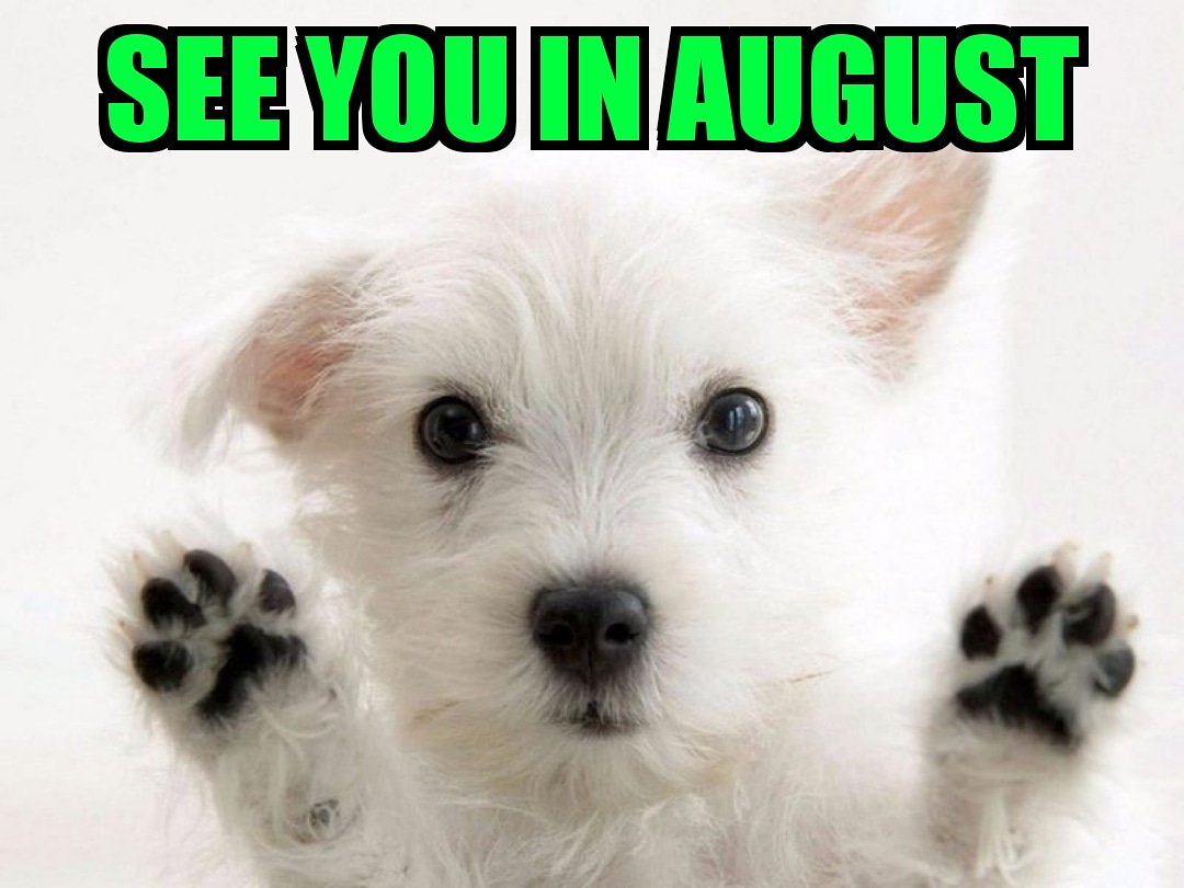 RHA_MarshallU's tweet photo. Marshall RHA would like to wish everyone safe travels home, and we hope you have a wonderful Summer vacation! See you in August! 🤘💚 #GoHerd https://t.co/9zApRkqFPD