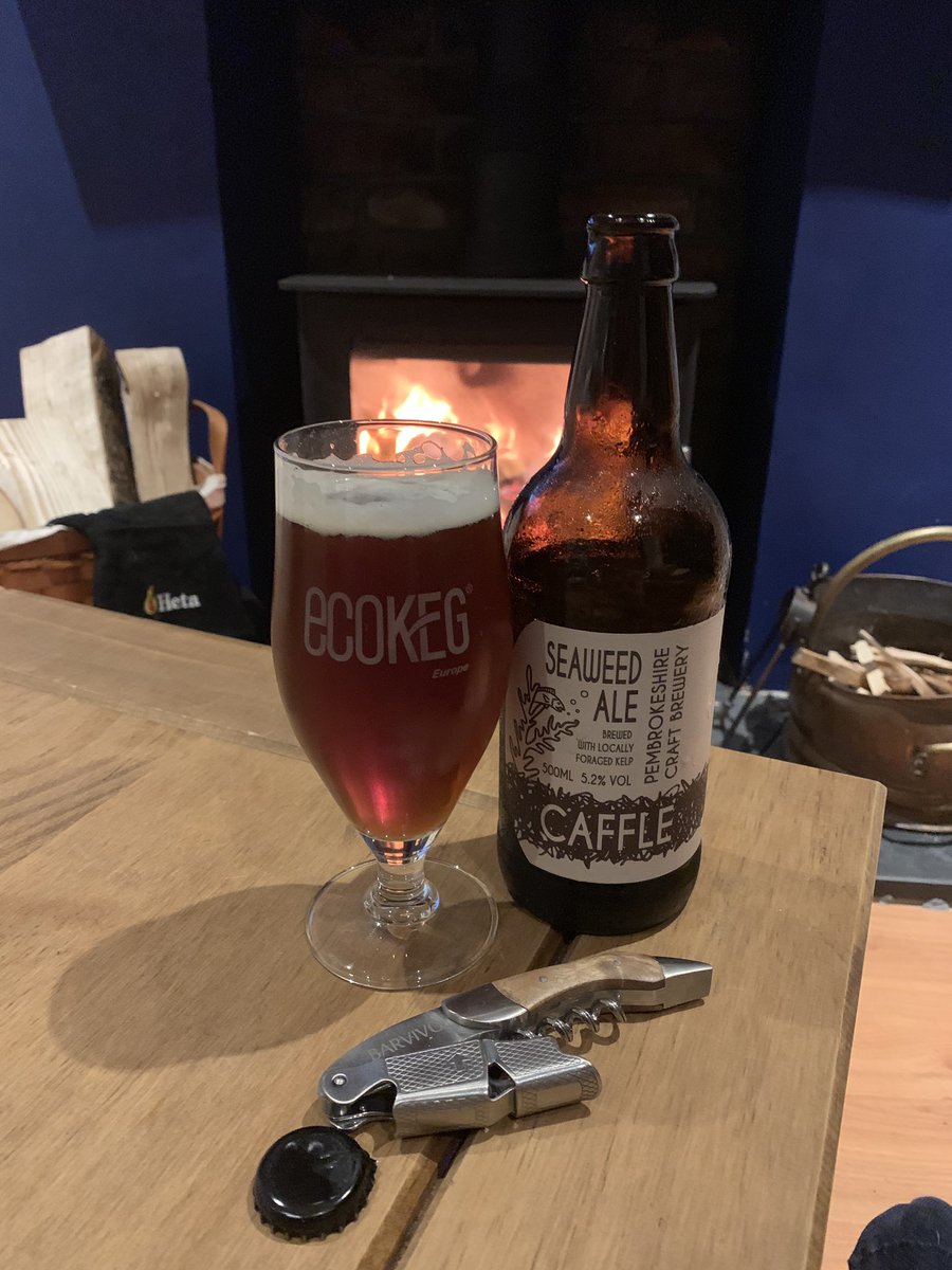 Relaxing in front of the fire with a seaweed beer <a href="/WelshBassGuide/">Fishing and Foraging Wales</a> top beer from @CaffleBrewery and Matt Powell! #beer #craft #ecokeg #heta #barvivo #foraged #seaweed #wales #madeinwales #Pembrokeshire #collab