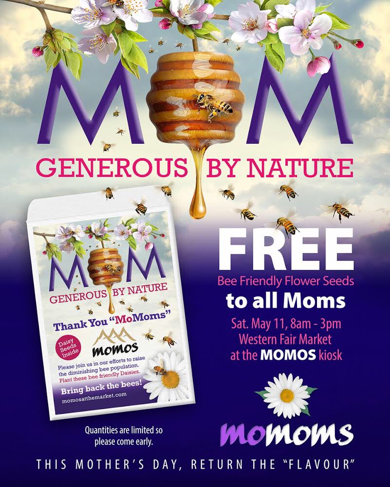 Momos at the Market tweet media