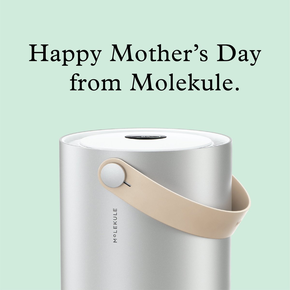 Molekule tweet media