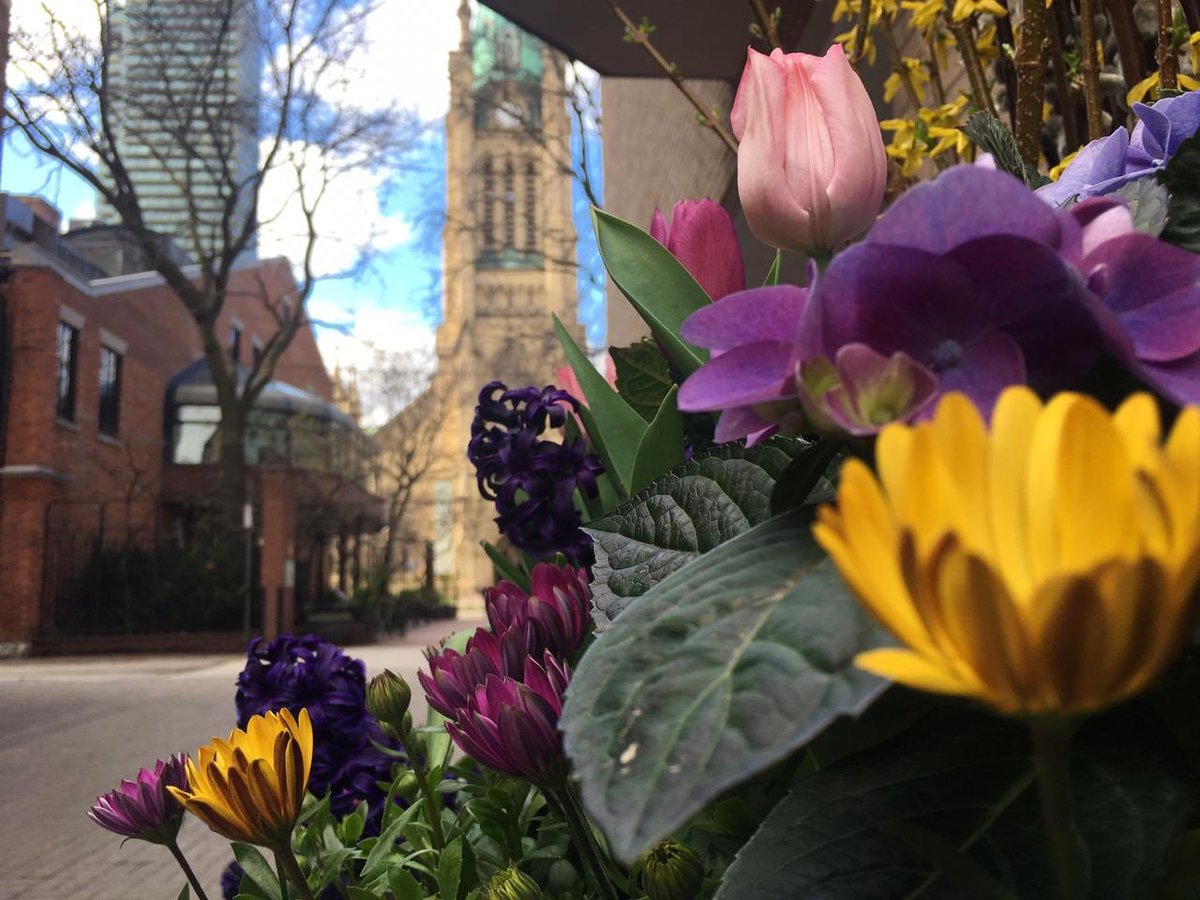 bridge_canada's tweet photo. La belleza de la #primavera en #Toronto. / It is still cold out there, but definitely so beautiful! #Spring #Canada #Colours #Life #LifeInToronto #PrettyCanada #latinosencanada🇨🇦 #lovespring #NoFilter #Sinfiltros #PrimaveraEnToronto #Colores https://t.co/WiVPOGX6f4