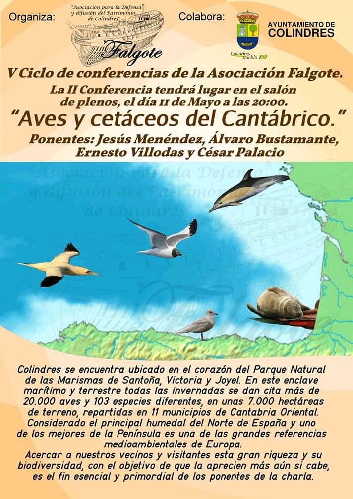 Falgote's tweet photo. Sábado 11 de mayo a las 20h. #conferenciasfalgote2019 . Aves y cetáceos del Cantábrico.
#Colindres #Falgote #conferencias https://t.co/c0iZMnENhw https://t.co/IjNIHMjpUY