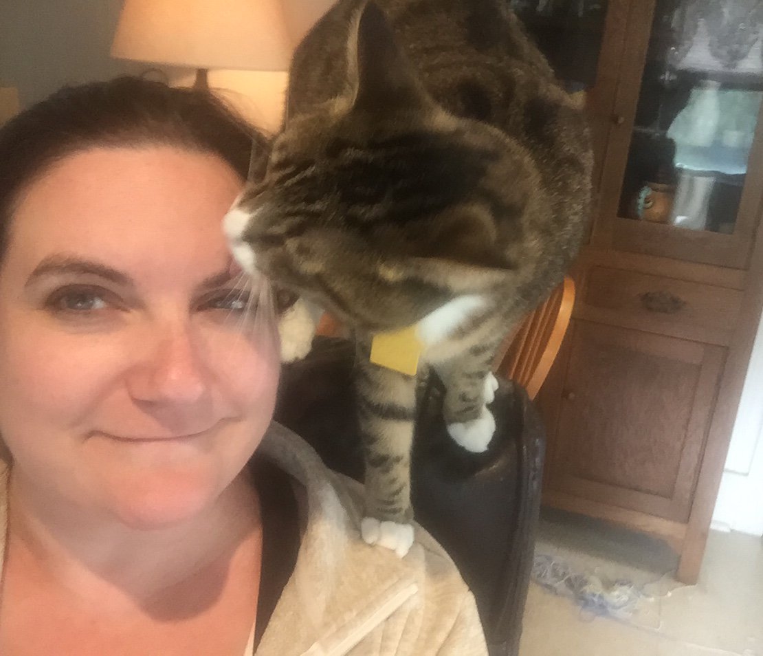 Erin Schultz on Twitter: "#kittykiss π½ https://t.co/YDSWwIaLsu" / Twitter