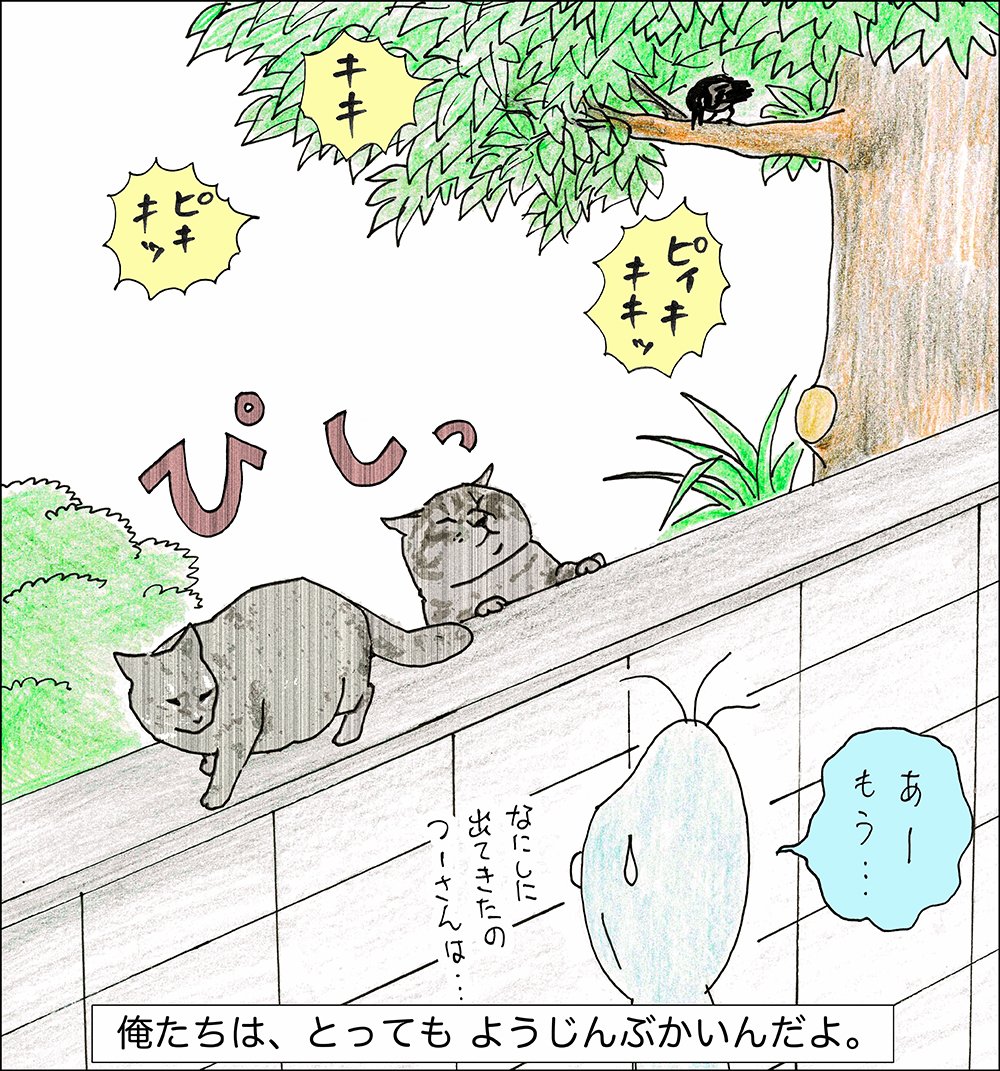 や、どうも。
だいぶあいだがあいちゃったけど、この前のトリさんにいかくされるちゃーの話のつづきだよ。 