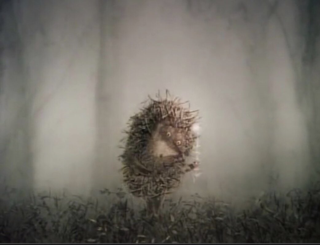 霧につつまれたハリネズミ