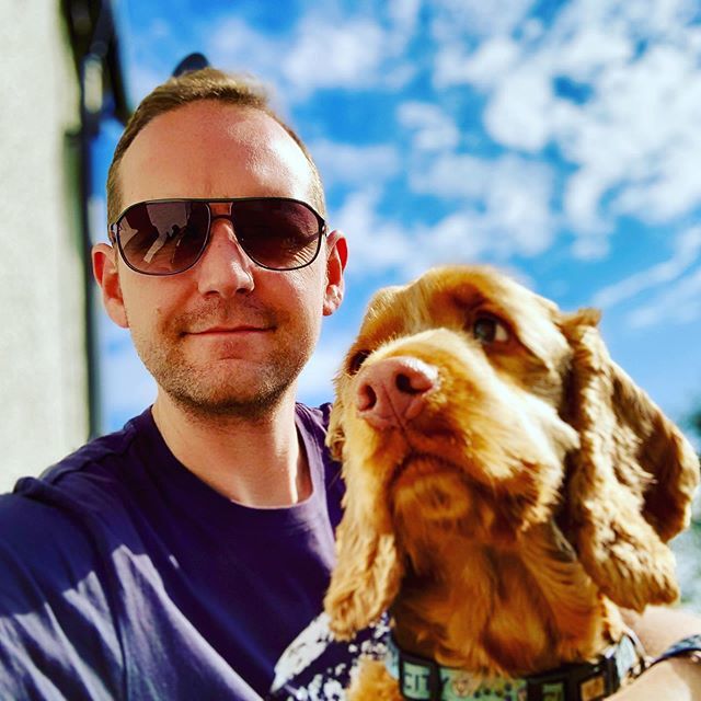 CookieSaysWoof's tweet photo. Not another god damn selfie 🙄
➖🐶➖
#cockerspaniel #cockerspanielpuppy #cockerspanielworld #dogsoftwitter #dogcelebration #dogtweets #cockerspanielsofinstagram #cockerspanielsofinsta #dogs #dog #puppy #puppylove #puppiesofinstagram #puppy #puppies… https://t.co/EVBmzg01BL https://t.co/Z38dtiuD3s