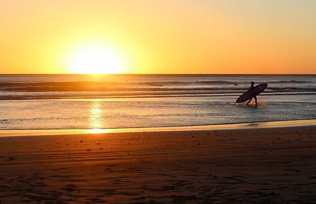 please_playa's tweet photo. #sunsetbeach #sunset #sunsets #beach #sunsetlover #pics #sunrise #landscape #nature #photography #love #travel #sun #sky #ig #nba #sea #liguria #k #sunsetphotography #aroundworld #sunsetlovers #clouds #naturephotography #loves #travelphotography #capture… https://t.co/fMvlP0gcou https://t.co/2Hl3EKiVQM