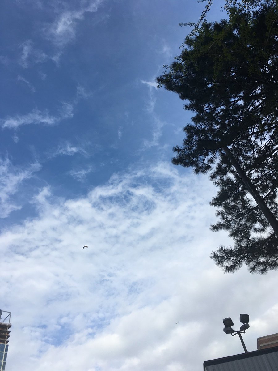 LilyMarin8's tweet photo. @ryanfoland #RyanFoland #CloudChallenge https://t.co/dsdowNZUvb