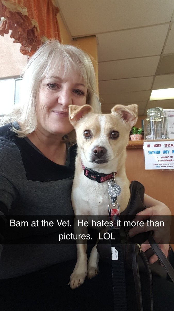 dedeemorrison's tweet photo. This dog.  💜🐶
#Bamslife https://t.co/tr083hKHxG