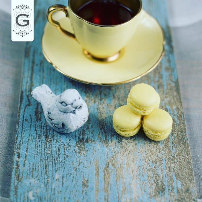 A little birdy told me that these are your favourite! 
#ganachemacarons #macarons #macaroons #food #love #cute #colourful #snack #dessert #sweet #candy #brunch #tasty #photooftheday #photography #delish #classy #luxury #happy #professional #bird #coffee #tea