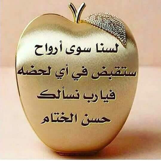 muslen tweet picture