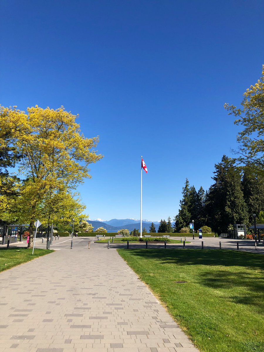 Tim_WoodfieldNZ's tweet photo. Fantastic #PFT3D conference and few days talking #Biofabrication #bioinks #innovation and #collaboration at the beautiful @BME_UBC campus Vancouver. Thanks @aspectbiosys @PFT3D @PZandstra @kwalus and Fabio Rossi https://t.co/rVKEVCBMN9