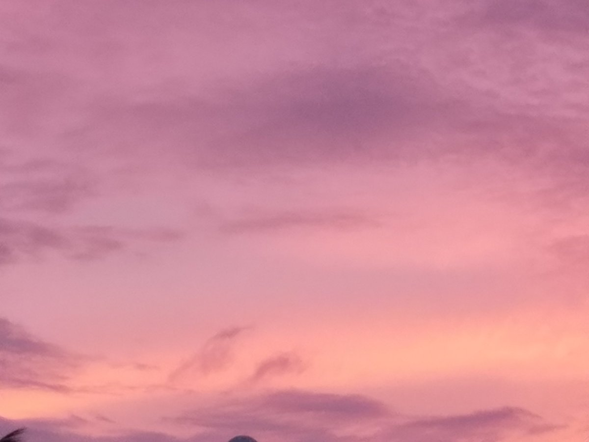 oofemilio's tweet photo. Now that's what I call #prettyinpink #sunset #lovethefeeling #feellinggood https://t.co/ds2FbeNMqH