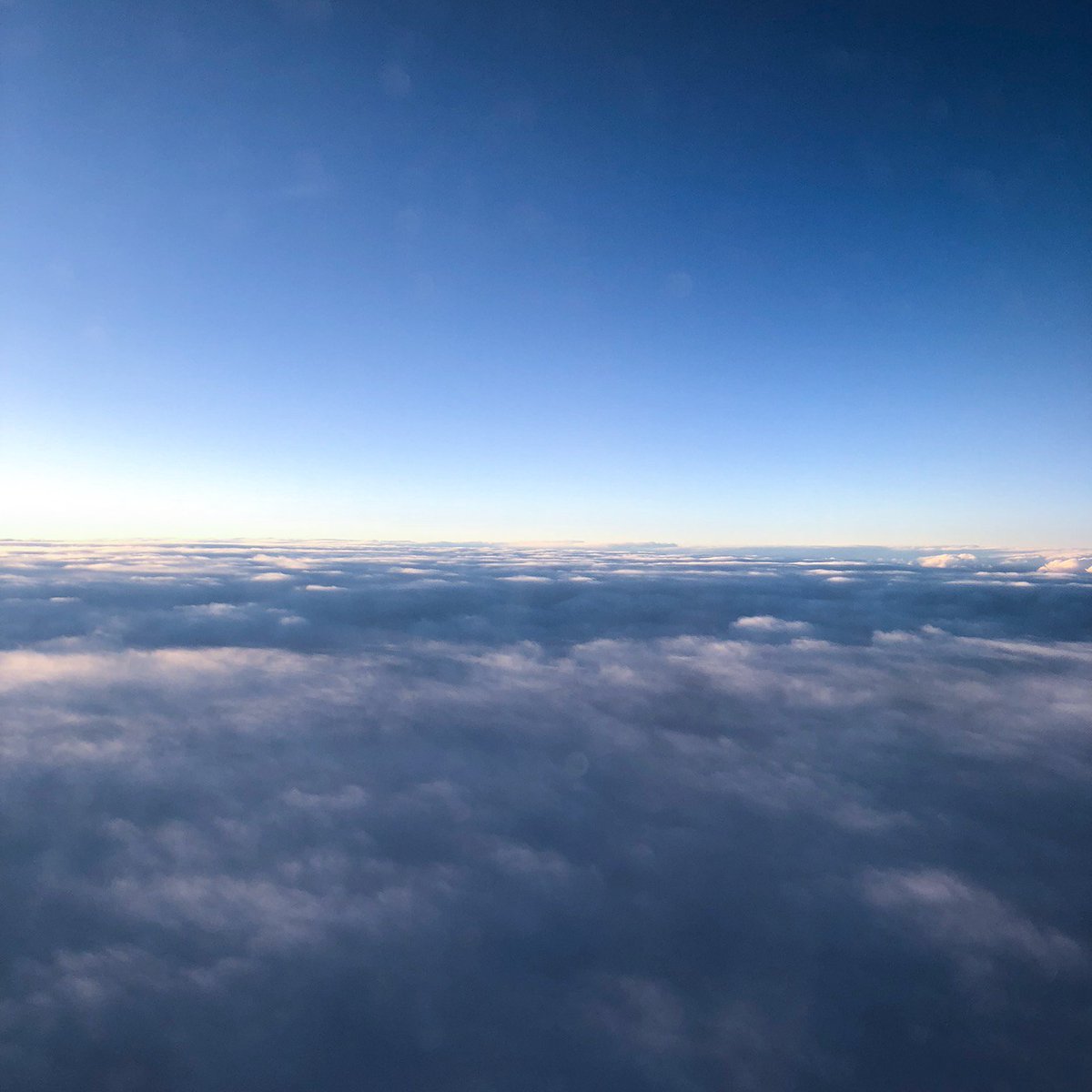 wildbluegetaway's tweet photo. F L Y • Taking flight into the weekend like 🛫 https://t.co/VKvyDsrZom