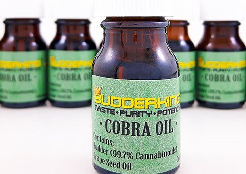 therealbudmail's tweet photo. This week's #BudmailFriday giveaway - BK Cobra Oil  10ml Bottle x2:
https://t.co/HIpvOfViCD… … … … … … … … … … … … …ReTweet+Like to #WIN. Draw every #BudmailFriday https://t.co/oWC7L9s6zm