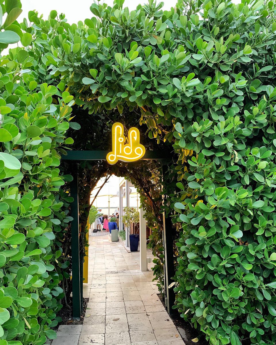 TSPlantain's tweet photo. Miami Beach happiest hour 🥂

📍 Lido Spa Hotel 
.
https://t.co/oQx0pba64e https://t.co/vNd3OeVufs