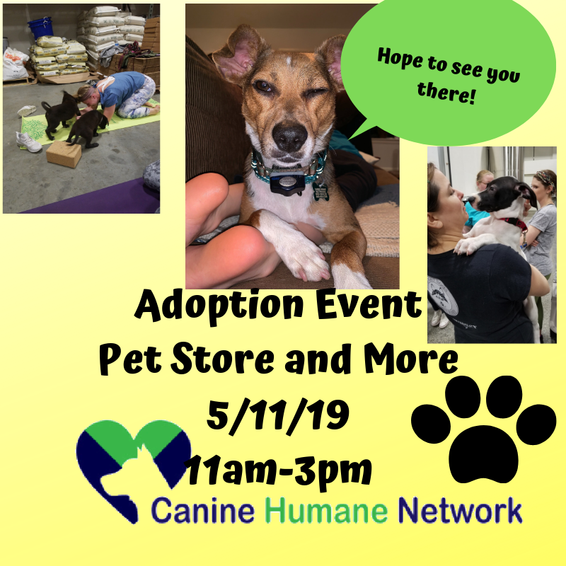 CHNpups's tweet photo. Want to meet some of our pups? Come to My Pet Store and More in Ellicott City @chnpups @PetStoreAndMore #AdoptDontShop #Adoption #Dog #rescue #adoptme #shelterpets #rescuedogsarethebestdogs #rescuesrock #chn #chnpups #caninehumannetwork
#fostersrock #fosterssavelives https://t.co/RT58UuR4jW