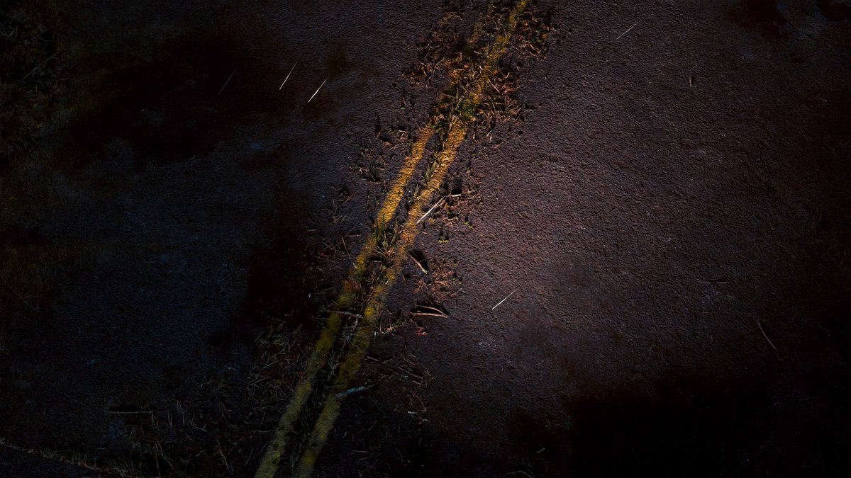 Marcoplayer86's tweet photo. Incredibili dettagli 😍 #DaysGone #daysgoneps4 #PhotoMode @BendStudio https://t.co/H6nqttk5AH