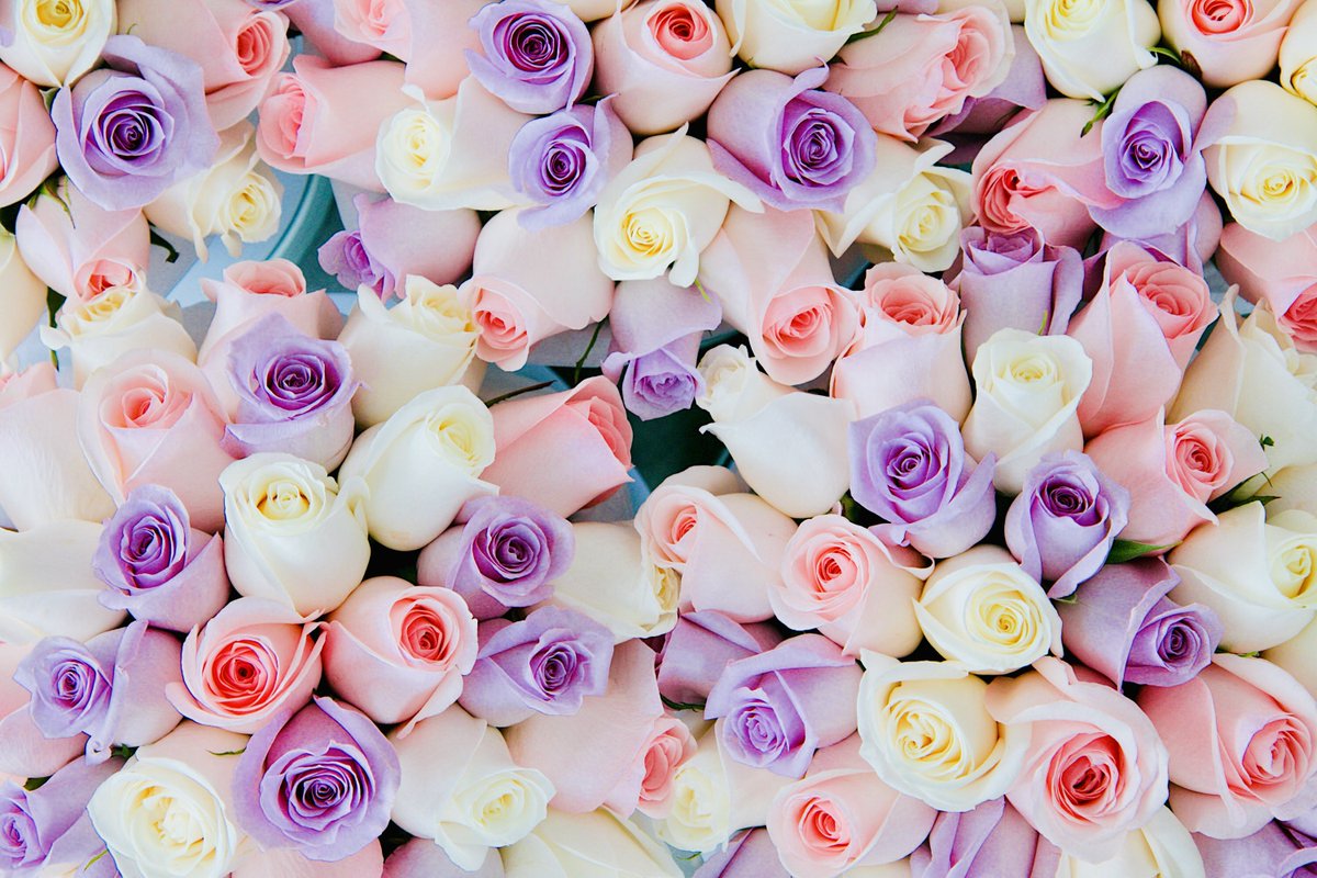 Creative as we might like to get on special occasions, there are some foolproof standbys when it comes to Mother's Day gifting. They call them classics for a reason. vitadaily.ca/fashion/3-stan…