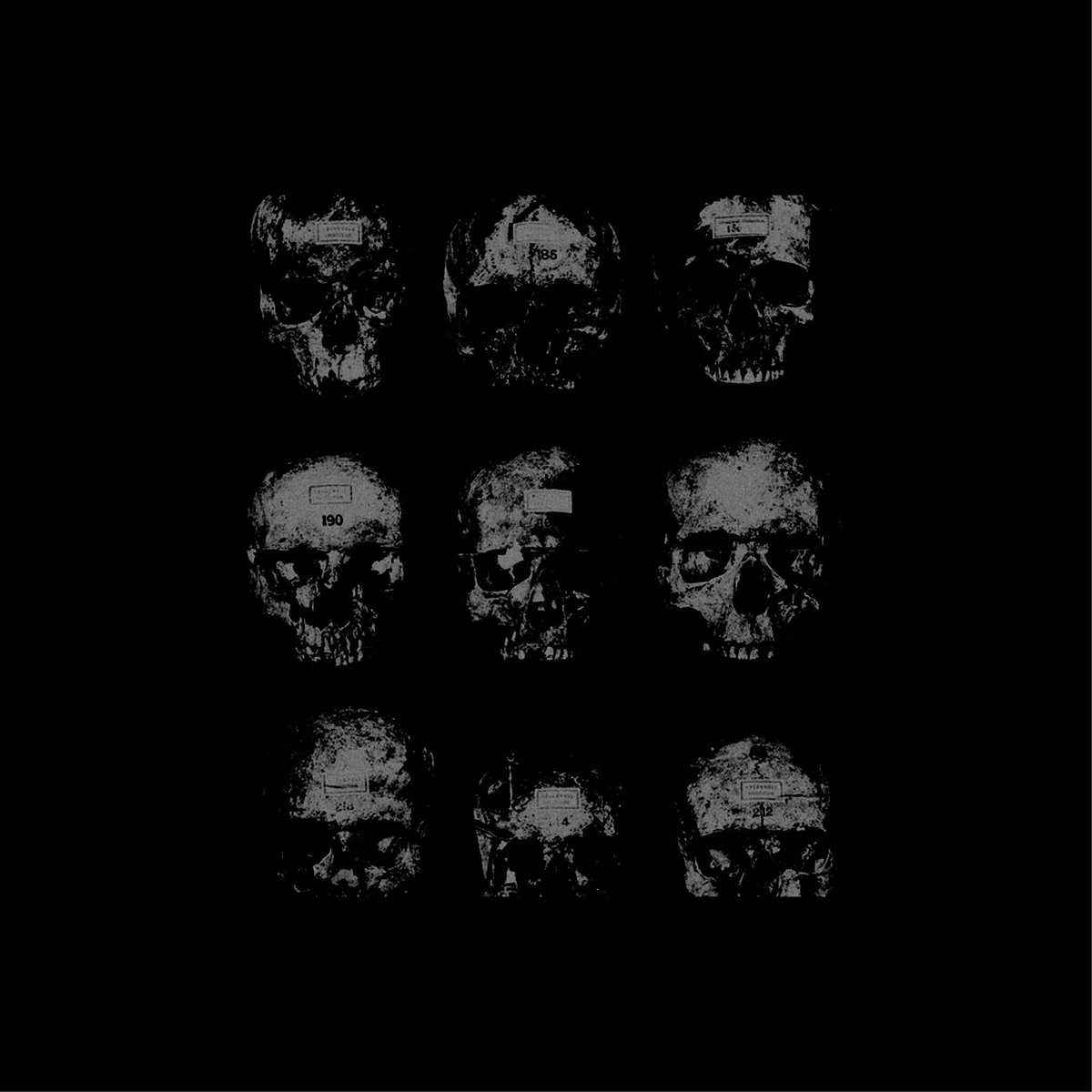 𝑫𝑹. 𝑳𝑬𝑽𝑰 𝑽.  𝑳𝑬𝑪𝑻𝑬𝑹
_______________________________

   “ 𝘐 𝘥𝘰 𝘢𝘥𝘮𝘪𝘳𝘦 𝘺𝘰𝘶𝘳 𝘤𝘰𝘶𝘳𝘢𝘨𝘦...

       𝐃𝐎𝐌 ｜𝐇𝐚𝐧𝐧𝐢𝐛𝐚𝐥! 𝐀𝐔

    .. 𝘐 𝘵𝘩𝘪𝘯𝘬 𝘐’𝘭𝘭 𝘦𝘢𝘵 𝘺𝘰𝘶𝘳 𝘩𝘦𝘢𝘳𝘵. “