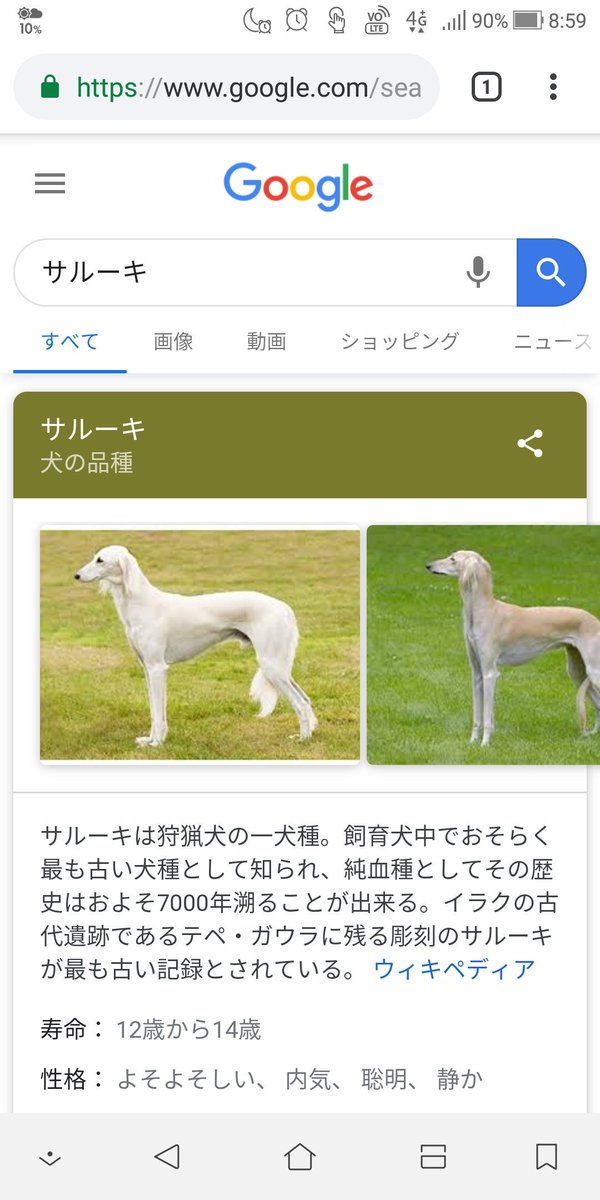 犬種のtwitterイラスト検索結果 古い順