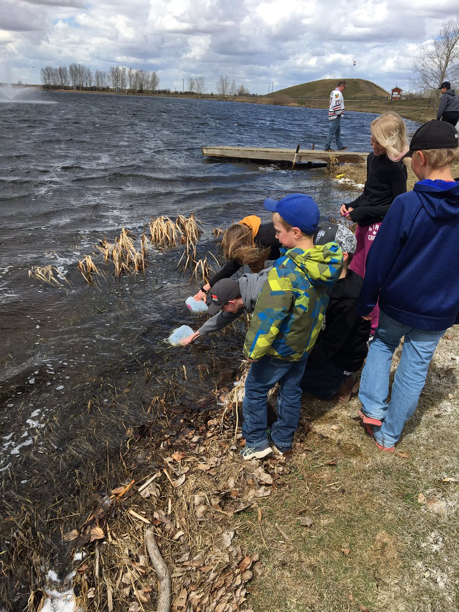 cbussing1's tweet photo. WE Walk for water today.  Walked to the dam and back.  Collecting water for the trees at the school. #coroschool #csd71 https://t.co/0ISZnFvmu7