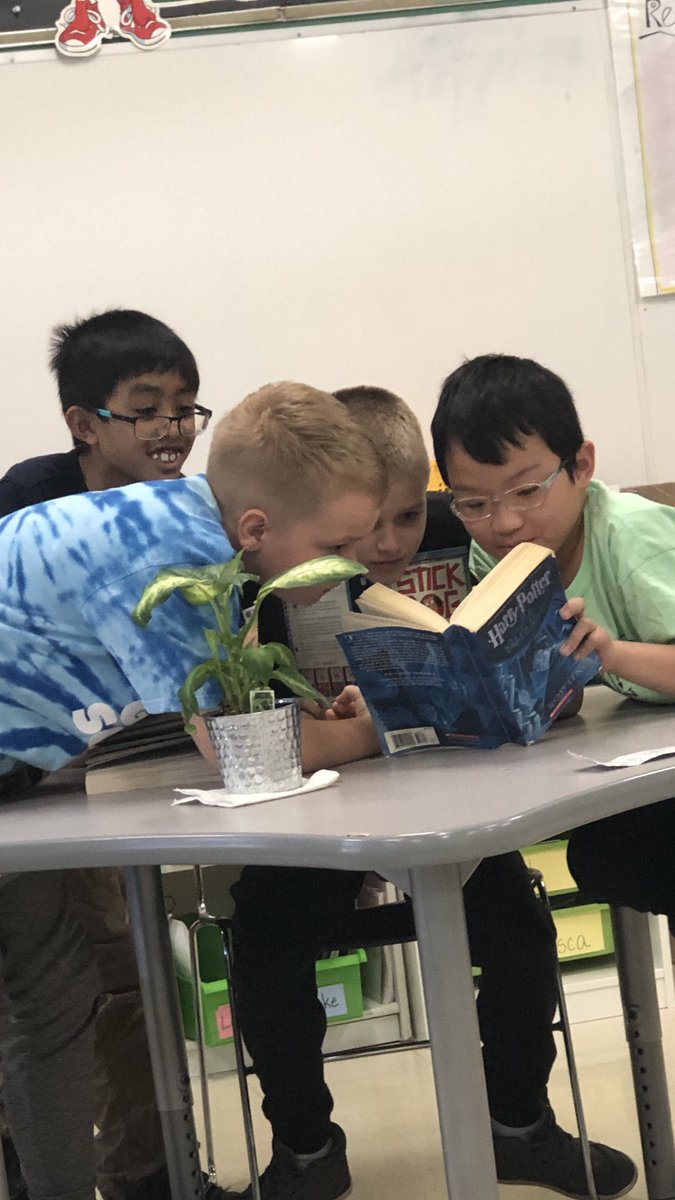 A book is always better with friends.  #bookwhisperer #IGInspires #paradisepals