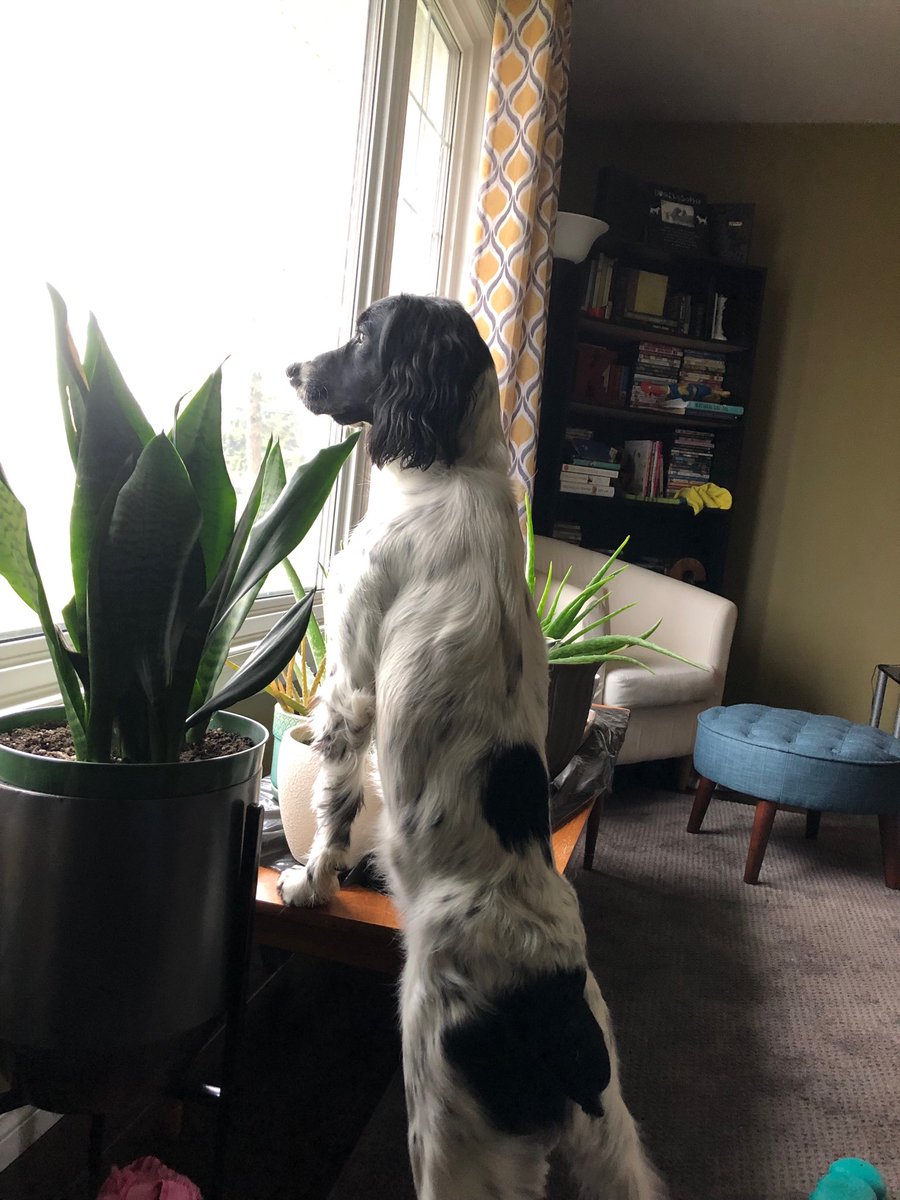 People watching at its finest