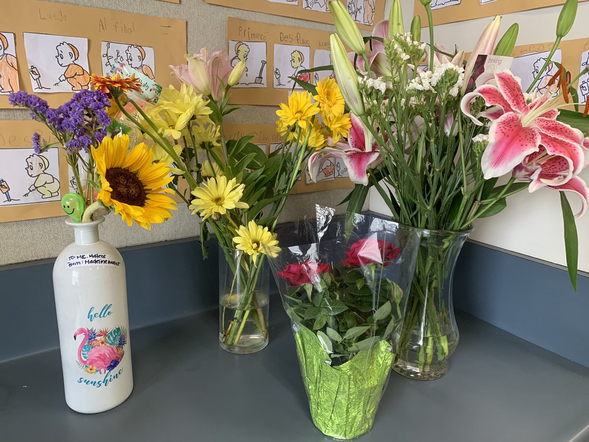 Sally Mateos (@maestramateos) on Twitter photo Gracias a todas las familias por sus lindas palabras. Aprecio todo los detalles que me hicieron sonreír cada día. Muchísimas gracias ArelySanchez por todo el apoyo que me haz brindado cada día. Me siento muy afortunada por mi linda puerta <a href="/BosLangAcademy/">Bostonia Global</a> <a href="/langacadpta/">BostoniaGlobalPTA</a> Gracias a todas las familias por sus lindas palabras. Aprecio todo los detalles que me hicieron sonreír cada día. Muchísimas gracias ArelySanchez por todo el apoyo que me haz brindado cada día. Me siento muy afortunada por mi linda puerta <a href="/BosLangAcademy/">Bostonia Global</a> <a href="/langacadpta/">BostoniaGlobalPTA</a>