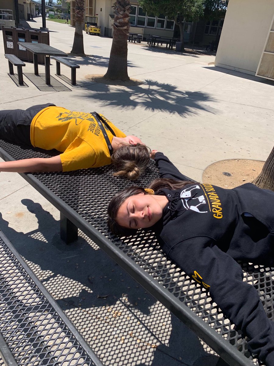 dewalt_ladders's tweet photo. black,gold, and beef squashed #weloveguccigang ap testing had us tired but still spirited! 🤩🤝🚫🐄14/14 absent: Parker and Hunter #ghsspiritgames https://t.co/4mE6Pv0gYC