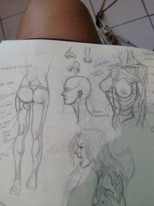 Looking through my old sketchbooks 1/2 