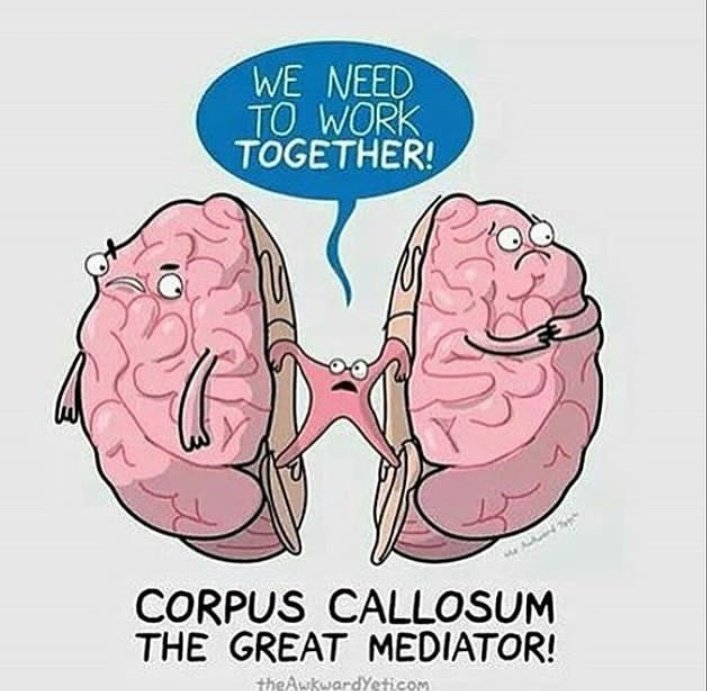 Marta tweet media