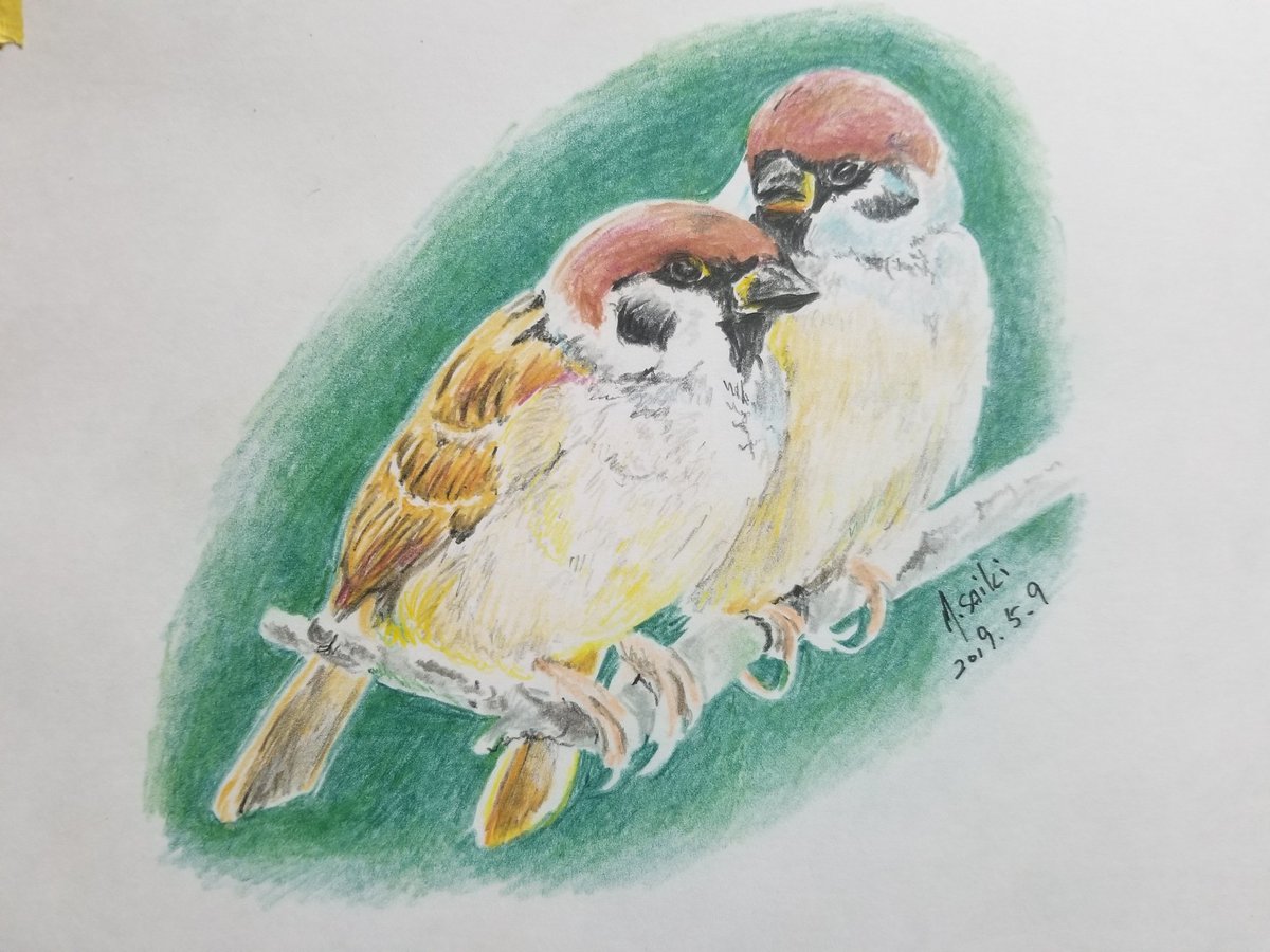 斉木 正明 Ar Twitter 鳥の絵 ケント紙に色鉛筆で描いてたんですが ん 画用紙の方が好きかも 斉木 正明 Ar Twitter 鳥の絵 ケント紙に色鉛筆で描いてたんですが ん 画用紙の方が好きかも