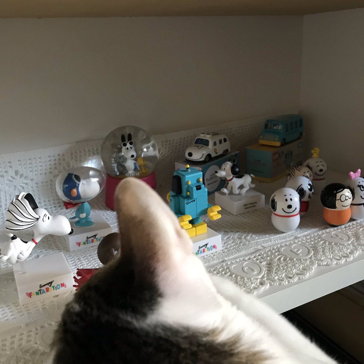 ファンタレーション