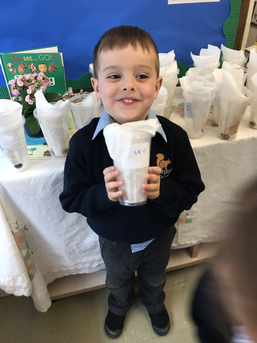 Reception classes are having fun watching their beans grow and keeping diaries.