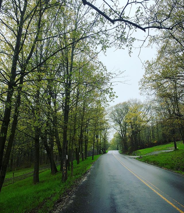fluxfox's tweet photo. Day 2: super rainy! https://t.co/GAIQT41Acg