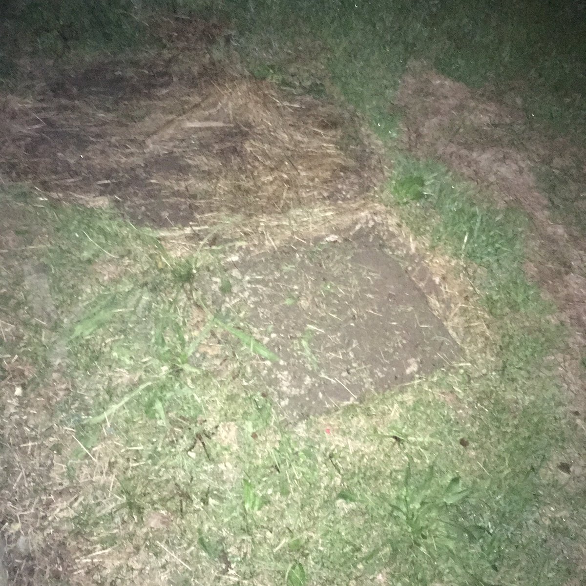 NormLeckie's tweet photo. I moved my old farm dog Griffโs house today. Iโd be lying if I told you it didnโt make me sad. I had a tear in my eye. Must have been dusty. #RIPGriff https://t.co/USdWMo6g7y