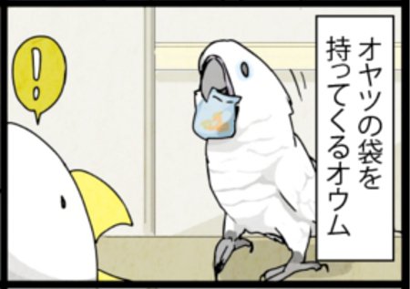 約３年前は袋から出してと持ってきたオヤツ。
今は飼い主にばれないように隠しながら持ち去ります。 